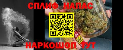 СК Краснодар
