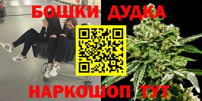 СК Краснодар